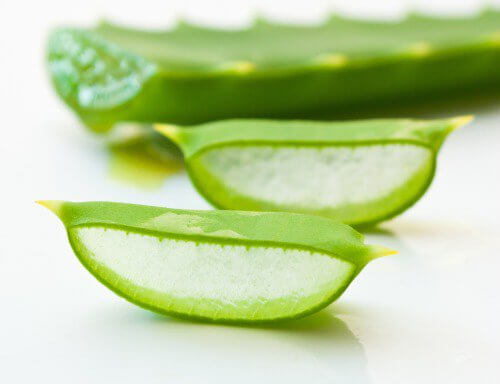 aloe-vera