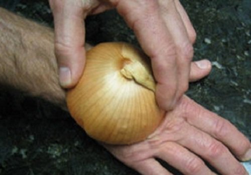 bite-onion