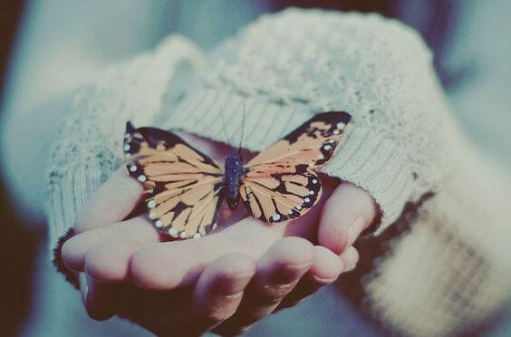 手のひらの蝶