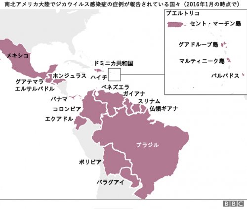 ジカウイルス にご用心!