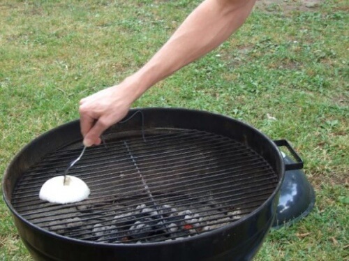onion-grill
