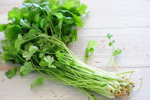 parsley