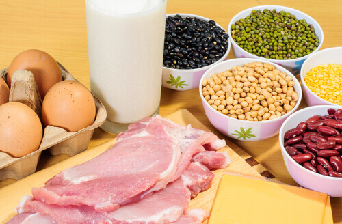 protein-foods