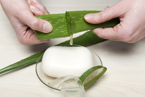 お肌しっとり! 自家製アロエベラ石鹸 の作り方