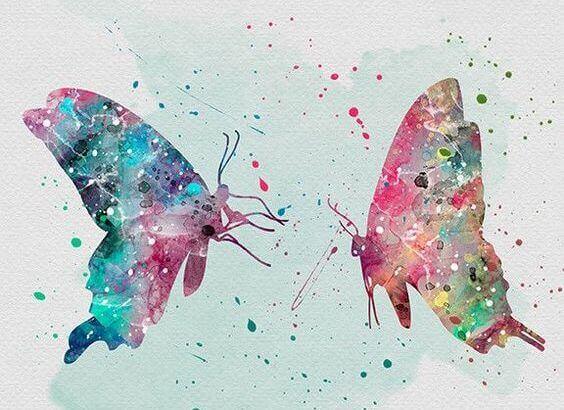 2-butterflies