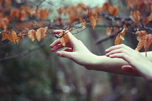 葉と女性の手