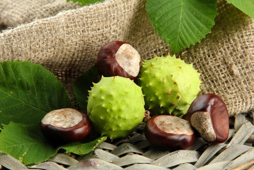 benefits-of-chestnuts