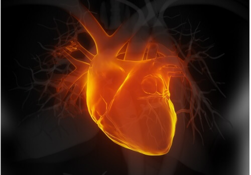 heart1