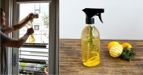 lemon-peel-air-freshener