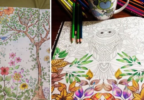 大人の塗り絵フクロウ