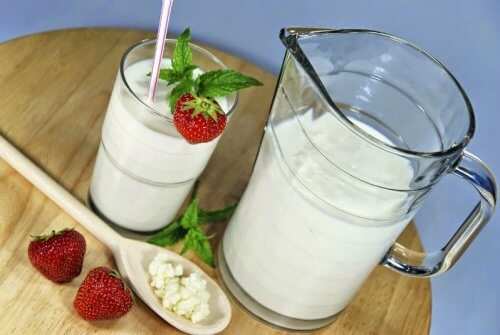 腸内の健康を守る食品15 腸内の健康を守る食品15