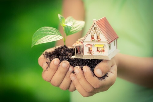 organic-home-management