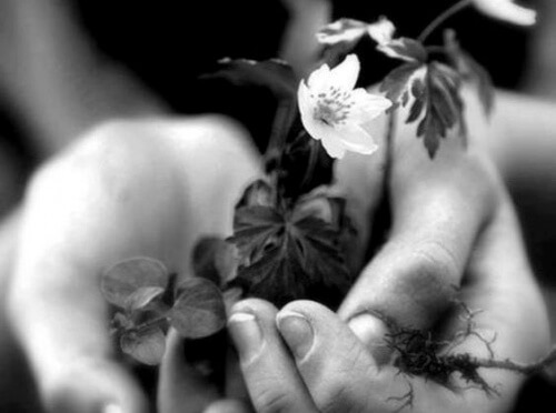 4-handful-of-flowers