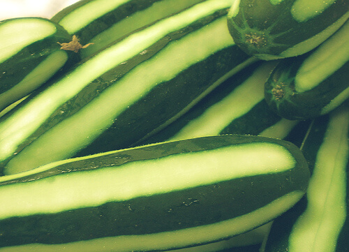 cucumber