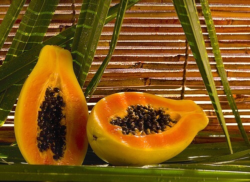 papaya1