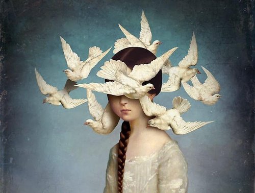 birds-circling-head