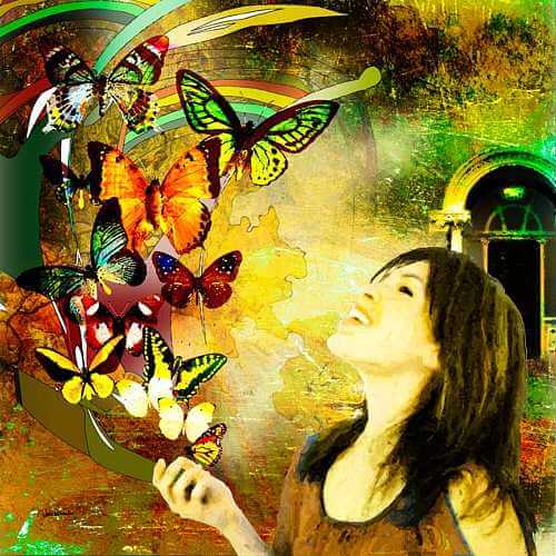butterflies