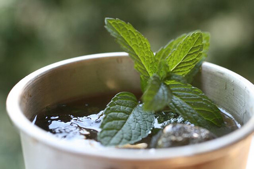 緑茶
