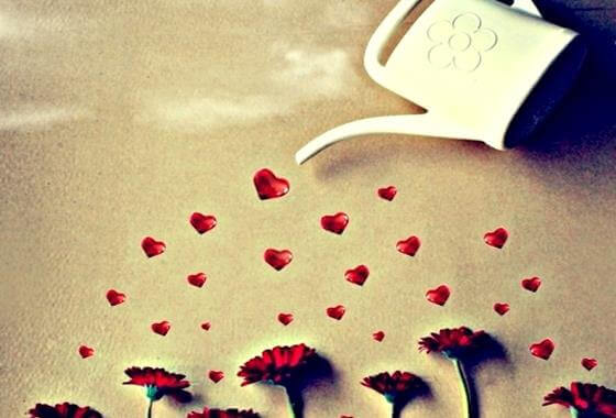 hearts-flowers