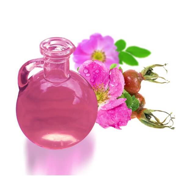 rose-hip