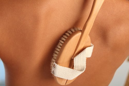 4-brush-for-cellulite