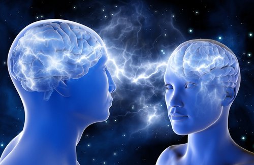 brain-500x325