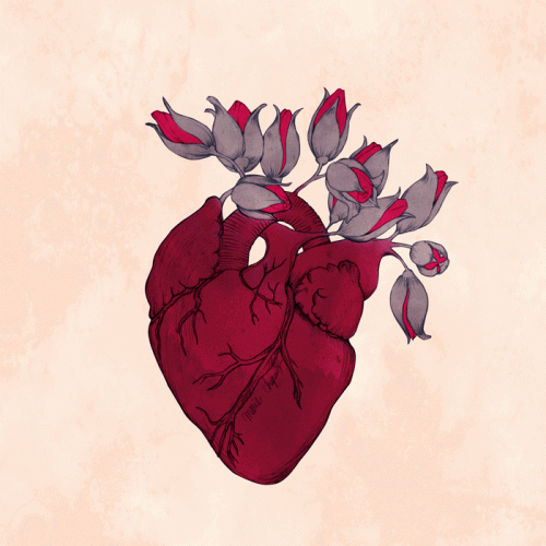 花の心臓