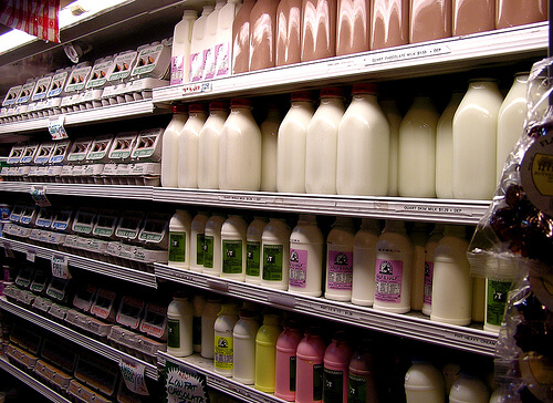 dairy