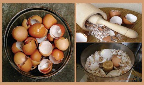 卵の殻を使った自然療法６選