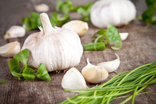garlic-500x334