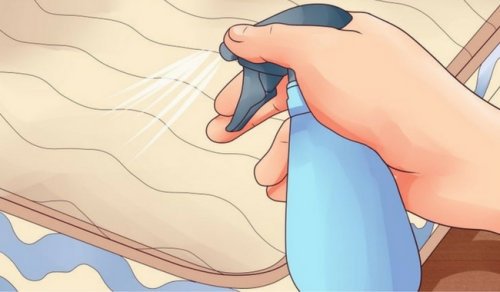 4つのポイントを押さえて/マットレスを正しくお手入れする方法
