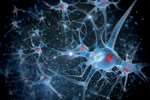brain-health-500x334