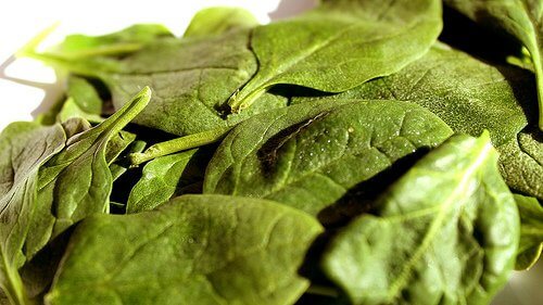 spinach-1