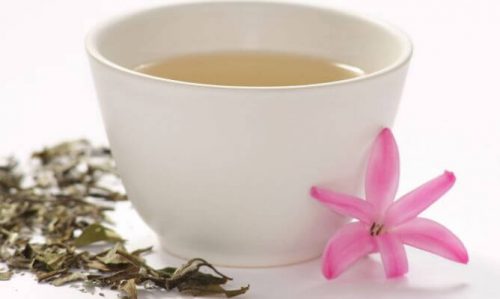 白茶