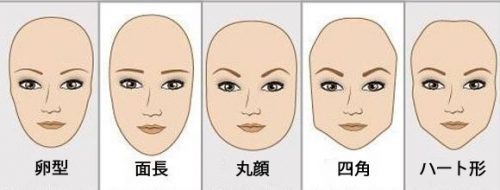 顔の形と性格