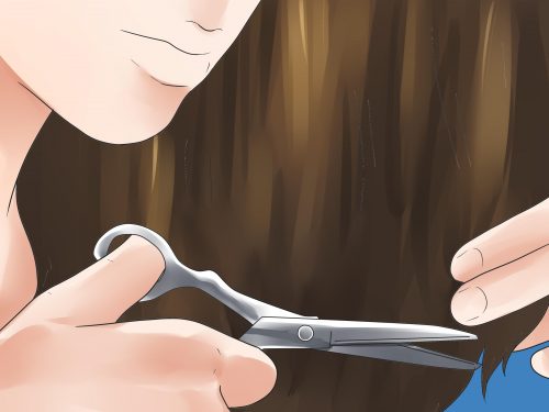 これって正しいの? 一般的な健康神話 これって正しいの? 一般的な健康神話