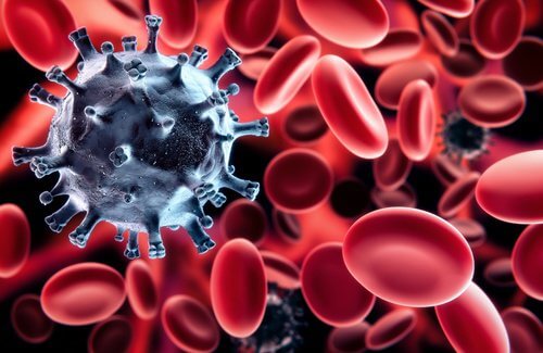 immune system
