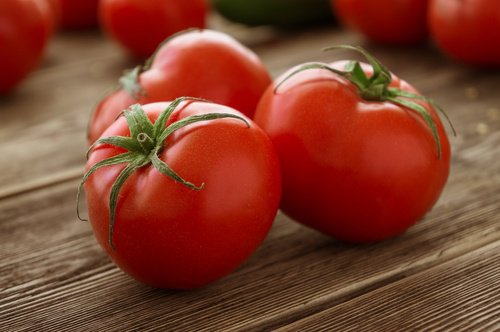 Tomato-500x332