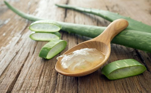 aloe-vera-contra-orzuelos-500x309
