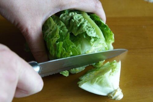 frozen-lettuce-500x333