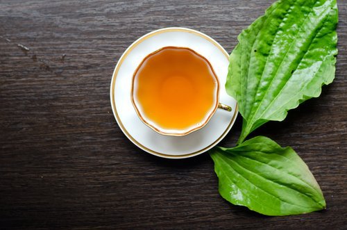 herbal-laxative-500x331