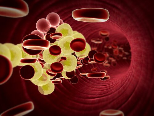 Inside blood vessel