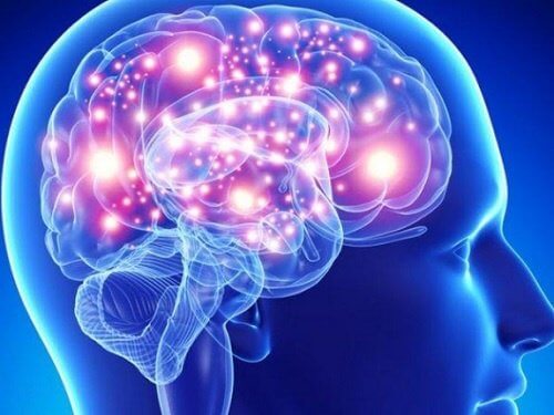 脳の健康に効果的なハーブと香辛料