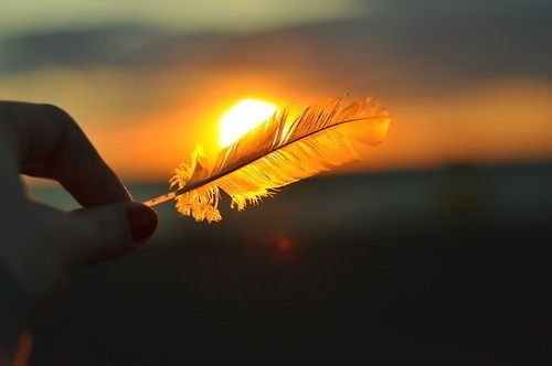 3-feather-in-light