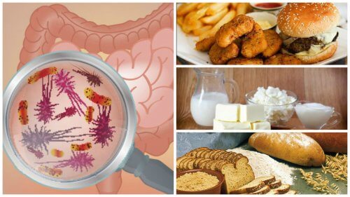 腸の健康を脅かす7つの食べ物 腸の健康を脅かす7つの食べ物
