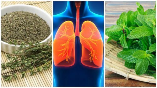 肺の健康を助ける８つのハーブ