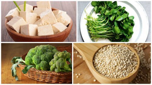タンパク質たっぷり!毎日食べたい8つの植物由来食品 タンパク質たっぷり!毎日食べたい8つの植物由来食品