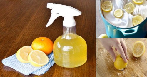 柑橘類を家中のお手入れに使う方法 柑橘類を家中のお手入れに使う方法