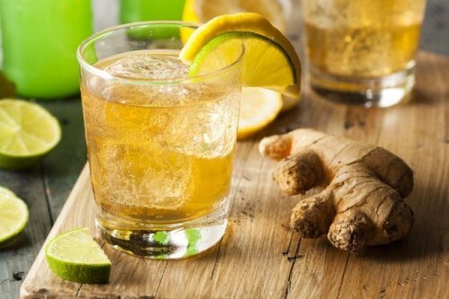 bebidas5