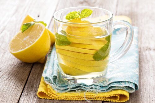 bebidas6